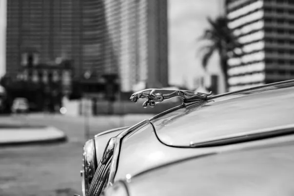 WagerWeb Casino Application Android/iOS